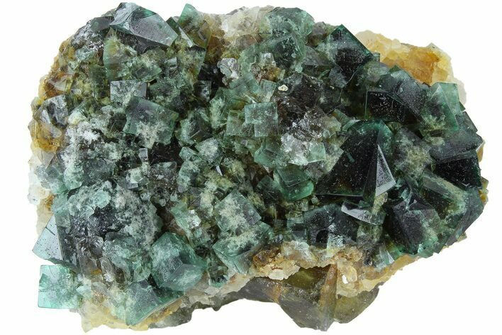 Fluorescent Green Fluorite Cluster - Rogerley Mine, England #184628